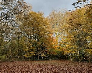 Verblijf 3201200 - Vakantiewoning Veluwe - Huisje in Beekbergen