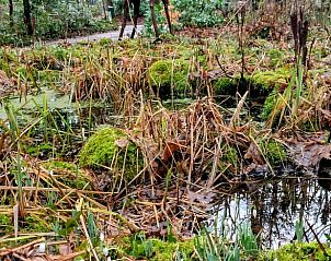 Verblijf 3201200 - Vakantiewoning Veluwe - Huisje in Beekbergen