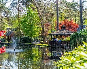 Unterkunft 3201201 - Ferienhaus Veluwe - EuroParcs Beekbergen