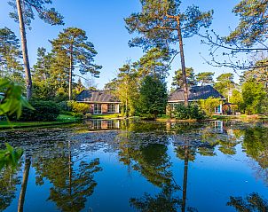 Unterkunft 3201201 - Ferienhaus Veluwe - EuroParcs Beekbergen