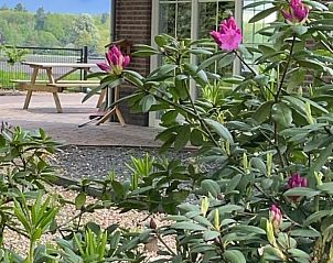 Genieen Sie den blhenden Garten im Huisje in Beekbergen, einem Ferienhaus an der Veluwe in Gelderland mit schner Terrasse und natrlicher Umgebung.