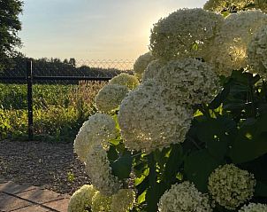 Unterkunft 320122 - Ferienhaus Veluwe - Huisje in Beekbergen