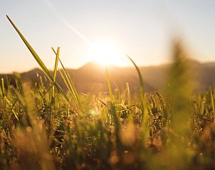 Unterkunft 320122 - Ferienhaus Veluwe - Huisje in Beekbergen