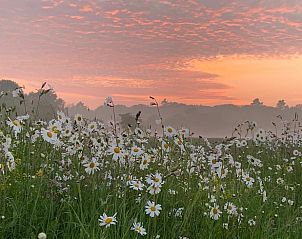Unterkunft 320122 - Ferienhaus Veluwe - Huisje in Beekbergen