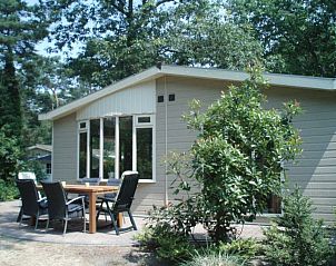 Unterkunft 320126 - Ferienhaus Veluwe - vakantiewoning Beenhorst B11 Veluwe