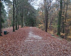 Unterkunft 320126 - Ferienhaus Veluwe - vakantiewoning Beenhorst B11 Veluwe