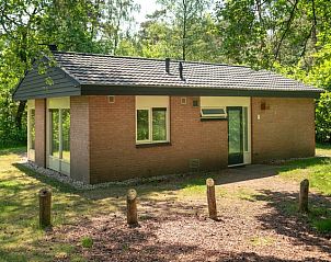 Buitenkant van Heideheuvel 18-persoons reuniebungalow in Beekbergen, Veluwe omringd door natuur.
