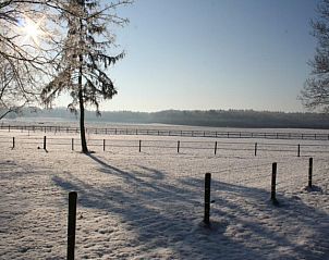 Schneebedeckte Landschaft mit Sonnenstrahlen in Veluwe Ferienbungalow in Beekbergen, genieen Sie die ruhige Winter Veluwe in Gelderland.