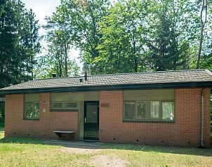 Heideheuvel 6-persoons bungalow 6CE1 in Beekbergen, Veluwe, Gelderland, omgeven door groene natuur.