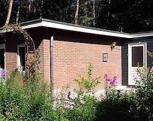 Ferienhaus in Beekbergen, Veluwe, Gelderland, mit einem sonnigen Garten, umgeben von Natur und rustikalen Backsteinmauern.