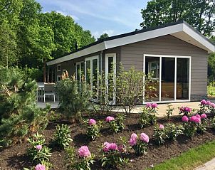 Ferox XL Ferienhaus fr 6 Personen in Beekbergen, Veluwe, Gelderland, mit wunderschner Terrasse und farbenfrohem Garten, umgeben von Natur.
