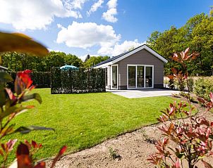 Ferox XL 6 Personen Wellness in Beekbergen, Veluwe: Ferienhaus mit sonniger Terrasse und grnem Garten, umgeben von Natur in Gelderland.