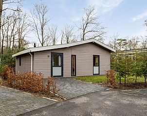 Veluwe Lodge fr 4 Personen in Beekbergen, Gelderland, ein charmantes Ferienhaus inmitten der Natur der Veluwe.