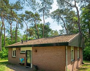 Natuur rondom Heideheuvel 6-persoons bungalow, ideaal voor gezinnen, Beekbergen, Veluwe.