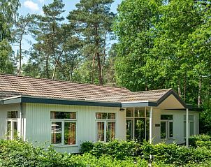 Verblijf 320159 • Bungalow Veluwe • Heideheuvel | 12-persoons bungalow | 12L1 