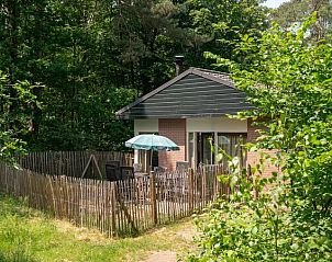 Guest house 320161 • Bungalow Veluwe • Heideheuvel | 6-persoons hondenbungalow | 6CD 