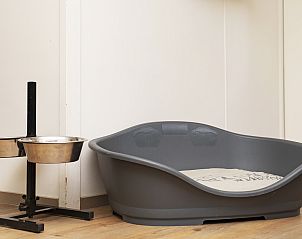 Tweepersoons slaapkamer met uitzicht op natuur in Heideheuvel bungalow, Beekbergen, Veluwe, Gelderland.