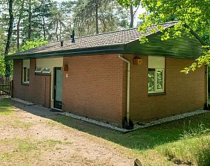 Voorzijde van Heideheuvel bungalow in bosrijke omgeving, Beekbergen, Veluwe, Gelderland.