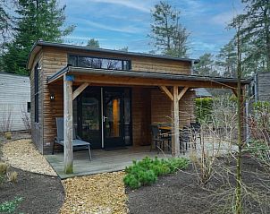 Unterkunft 320170 - Ferienhaus Veluwe - Tiny House 4