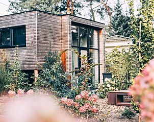 Unterkunft 320170 - Ferienhaus Veluwe - Tiny House 4