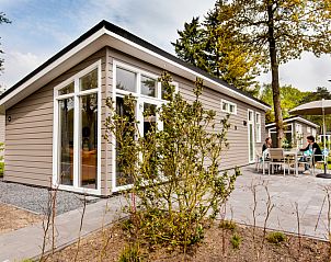 Rialto Ferienhaus fr 6 Personen in Beekbergen, Veluwe, mit sonniger Terrasse und grner Umgebung fr einen entspannten Aufenthalt in Gelderland.