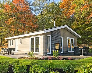 Leijhoeve 6 Personen Wellness-Ferienhaus in Beekbergen, Veluwe, Gelderland mit Terrasse und umgeben von Herbstfarben.
