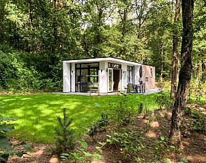 Modul Special 6 Personen, ein modernes Ferienhaus in Beekbergen, Veluwe, Gelderland, umgeben von grner Natur und erholsamen Wldern.