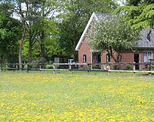 Unterkunft 320523 • Ferienhaus Veluwe • Vakantiehuisje in Kootwijk 