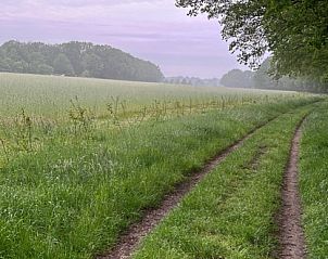 Unterkunft 320528 - Ferienhaus Veluwe - Vrijstaande woning in Kootwijk