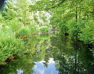 Guest house 320536 - Bungalow Veluwe - Vakantiepark de Berkenhorst 2