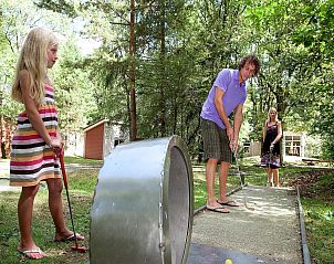 Guest house 320536 - Bungalow Veluwe - Vakantiepark de Berkenhorst 2