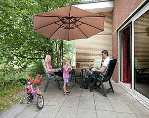 Guest house 320537 - Bungalow Veluwe - Vakantiepark de Berkenhorst 6