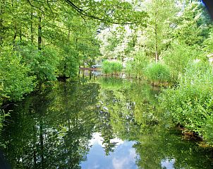 Guest house 320543 - Bungalow Veluwe - Vakantiepark de Berkenhorst 12