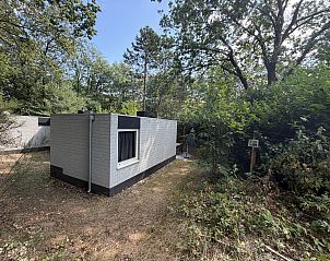 Unterkunft 320550 - Ferienhaus Veluwe - Geschakelde woning in Kootwijk