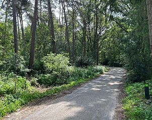 Verzorgde bloembedden rondom Huisje in Ede, Veluwe, Gelderland met variteit aan bloemen.