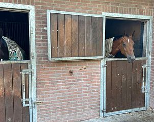 Paardenstallen bij Huisje in Ede, vakantieaccommodatie op de Veluwe, Gelderland.