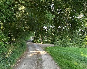 Landelijk pad nabij Huisje in Ede, vakantiehuis op de Veluwe, Gelderland.