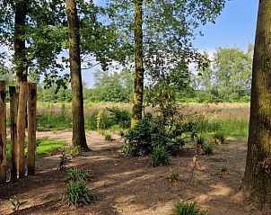 Verblijf 3206107 - Chalet Veluwe - In de bosrand Wood 386 Bospark Ede