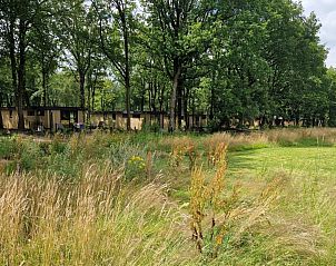 Verblijf 3206107 - Chalet Veluwe - In de bosrand Wood 386 Bospark Ede