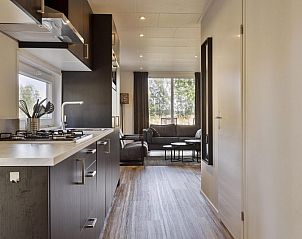 Kche und Wohnzimmer von Modul Wood 5 Personen Ferienunterkunft in Ede Veluwe mit Blick auf die Natur.