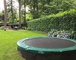 Guest house 3206202 - Holiday property Veluwe - Het Boshuis