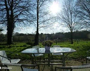 Unterkunft 3206204 - Ferienhaus Veluwe - Vakantiehuis Het Brede Veld