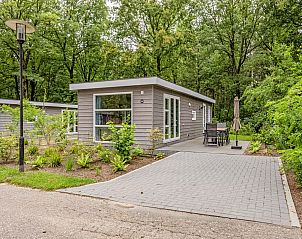 Module Flatroof vakantiehuis in Ede, Veluwe, Gelderland met ruime veranda en groene omgeving.