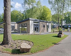 Omgeving van Module Nova vakantiehuis in Ede, Veluwe, met grasveld en bomen.