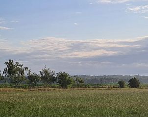 Uitzicht op de groene velden bij Huisje in Ede, Veluwe, Gelderland.