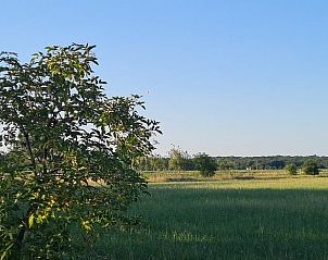 Veluwse natuur rondom Huisje in Ede, ideaal voor een ontspannen verblijf.