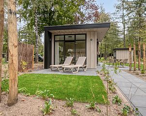 Buitenterras van Lindenhof vakantiehuis in Ede, Veluwe met ligstoelen en groene omgeving.