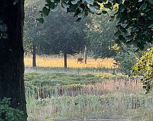 Prachtige natuur rondom Vakantiehuis in Ede, Veluwe, Gelderland.
