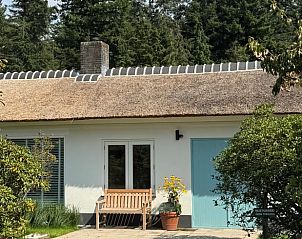 Voorzijde van Vakantiehuis in Ede met rieten dak, Veluwe, Gelderland.