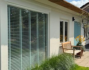 Terras met bankje bij Vakantiehuis in Ede, Veluwe, Gelderland.